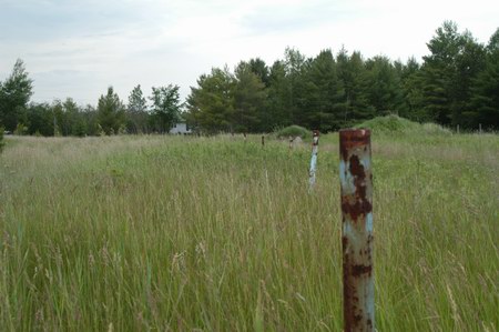 Thunder Bay Drive-In Theatre - Speaker Poles (newer photo)